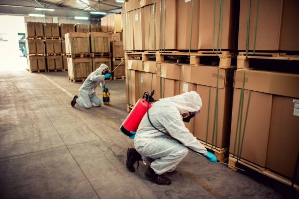 Best Best Pest Control Companies  in Garden City Park, NY