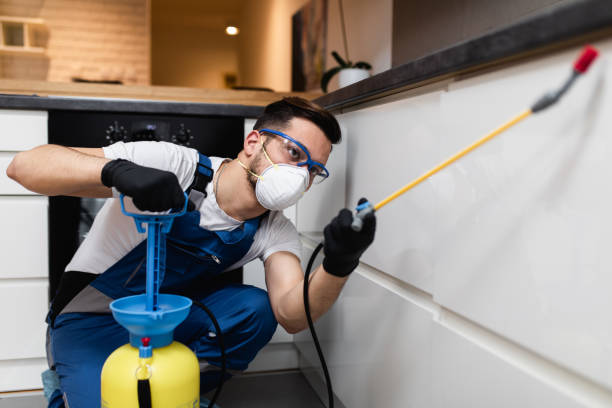 Best Pest Control Near Me  in Garden City Park, NY