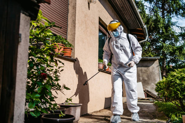 Best Flea Control Services  in Garden City Park, NY