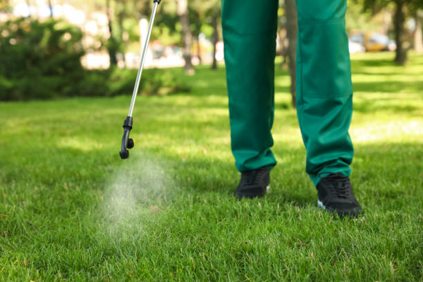 Best Pest Prevention Services  in Garden City Park, NY
