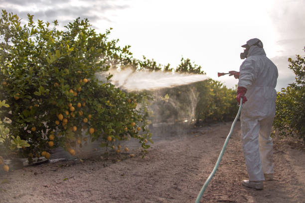Best Pest Inspection Near Me  in Garden City Park, NY