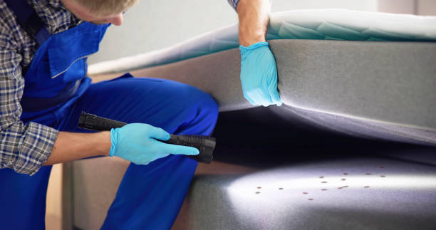 Best Best Pest Control Companies  in Garden City Park, NY